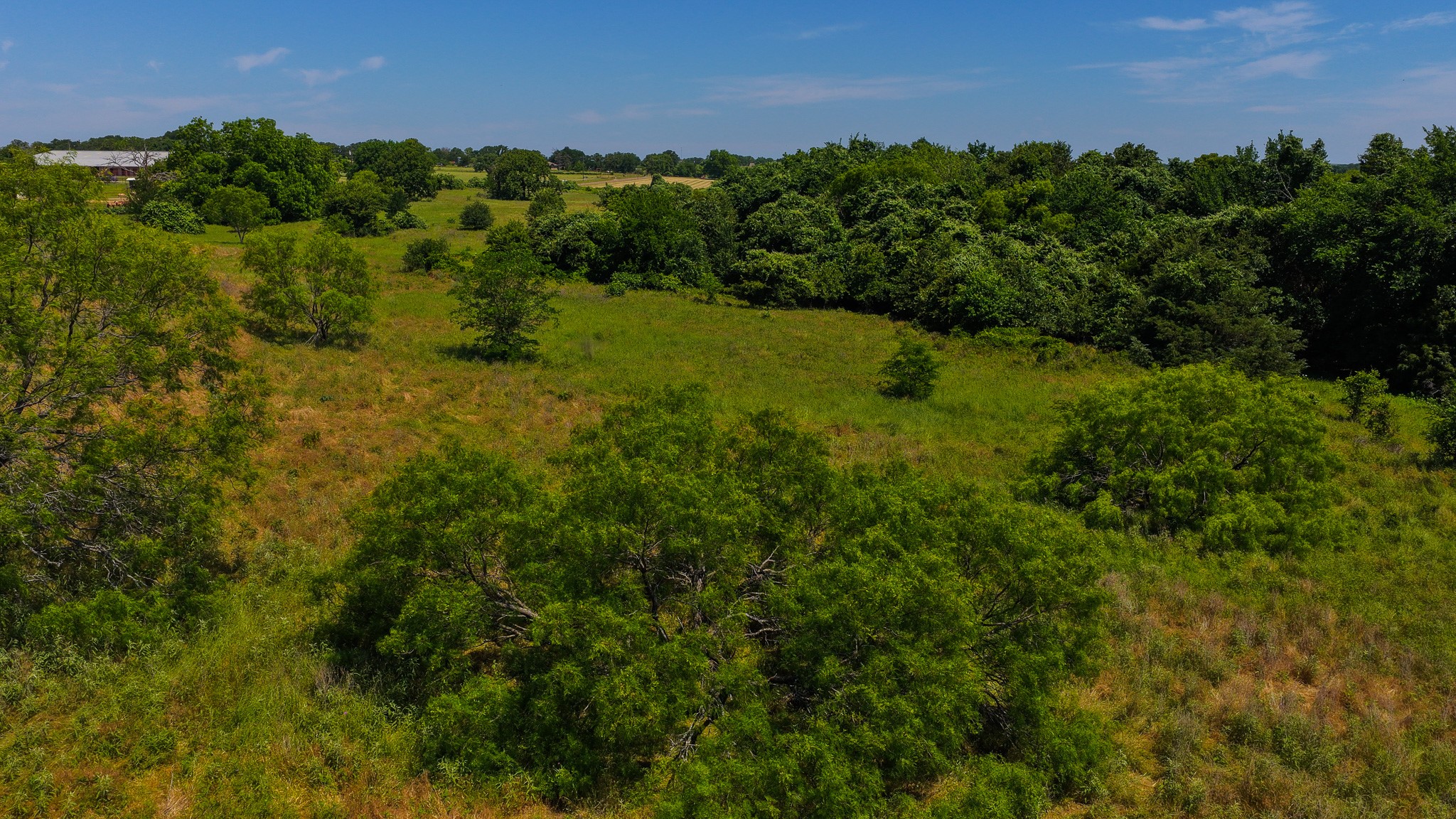 Tbd County Road 4360 Decatur TX 76234