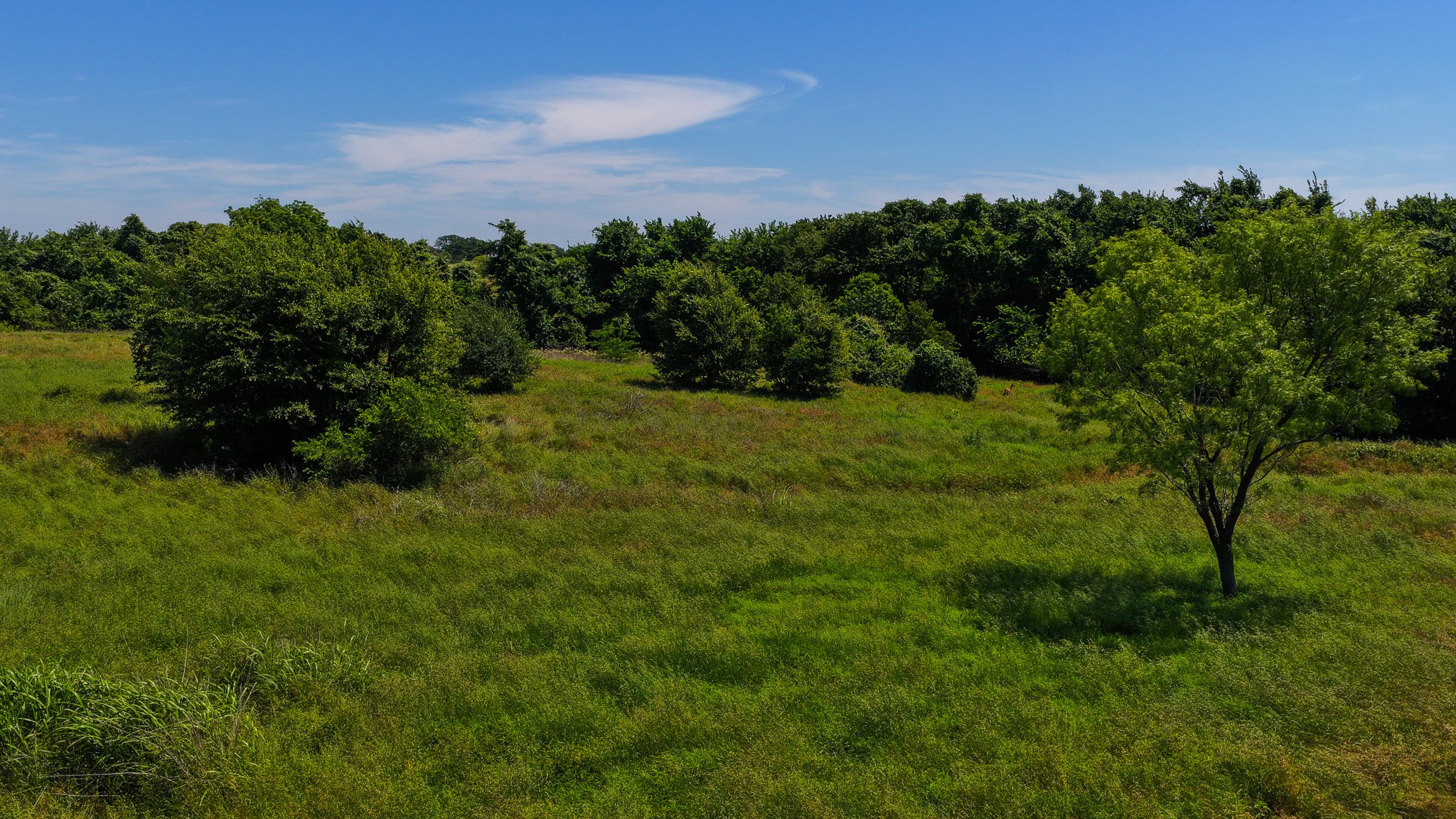 Tbd County Road 4360 Decatur TX 76234