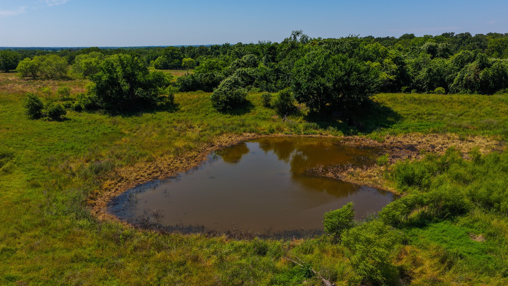Tbd County Road 4360 Decatur TX 76234