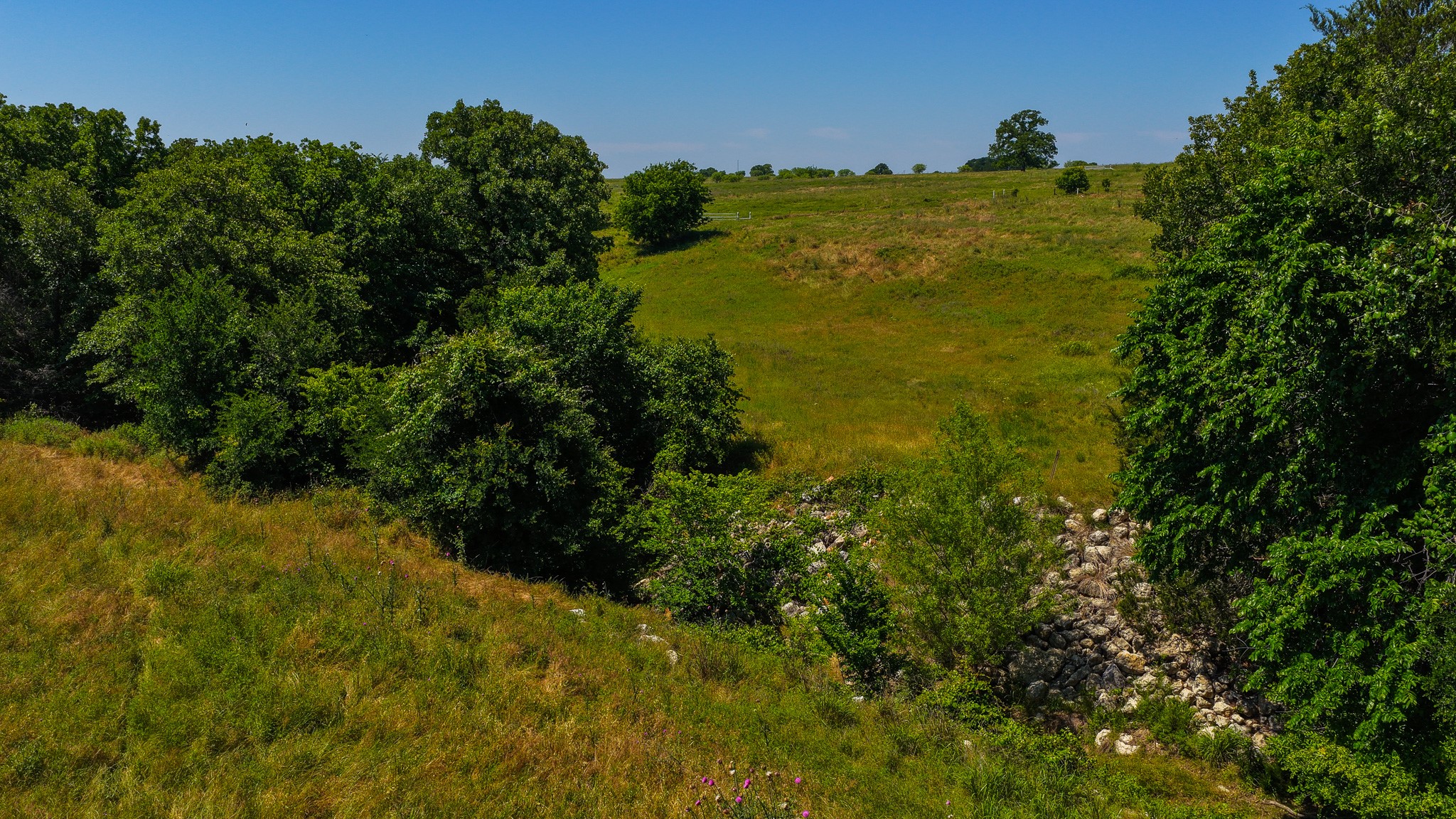 Tbd County Road 4360 Decatur TX 76234