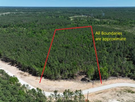475 Cherokee Trail Lovelady TX 75851
