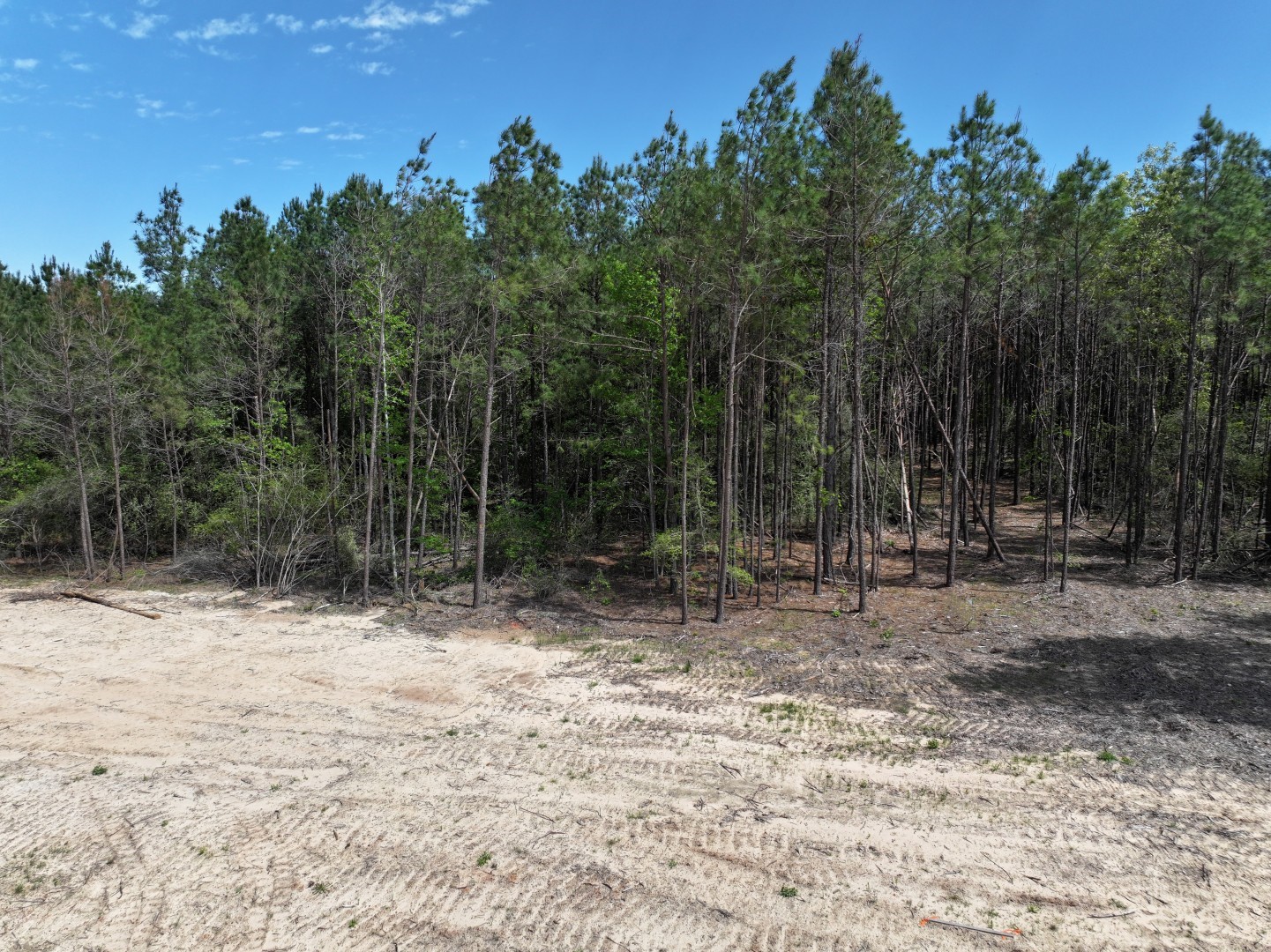 475 Cherokee Trail Lovelady TX 75851