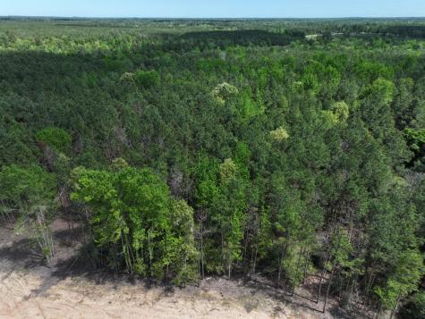 475 Cherokee Trail Lovelady TX 75851