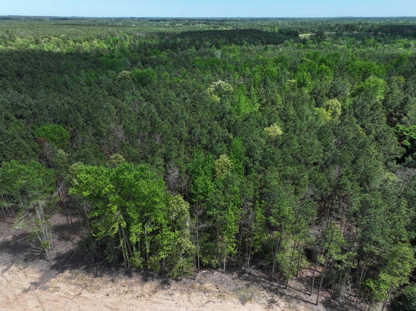 475 Cherokee Trail Lovelady TX 75851