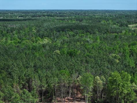 475 Cherokee Trail Lovelady TX 75851
