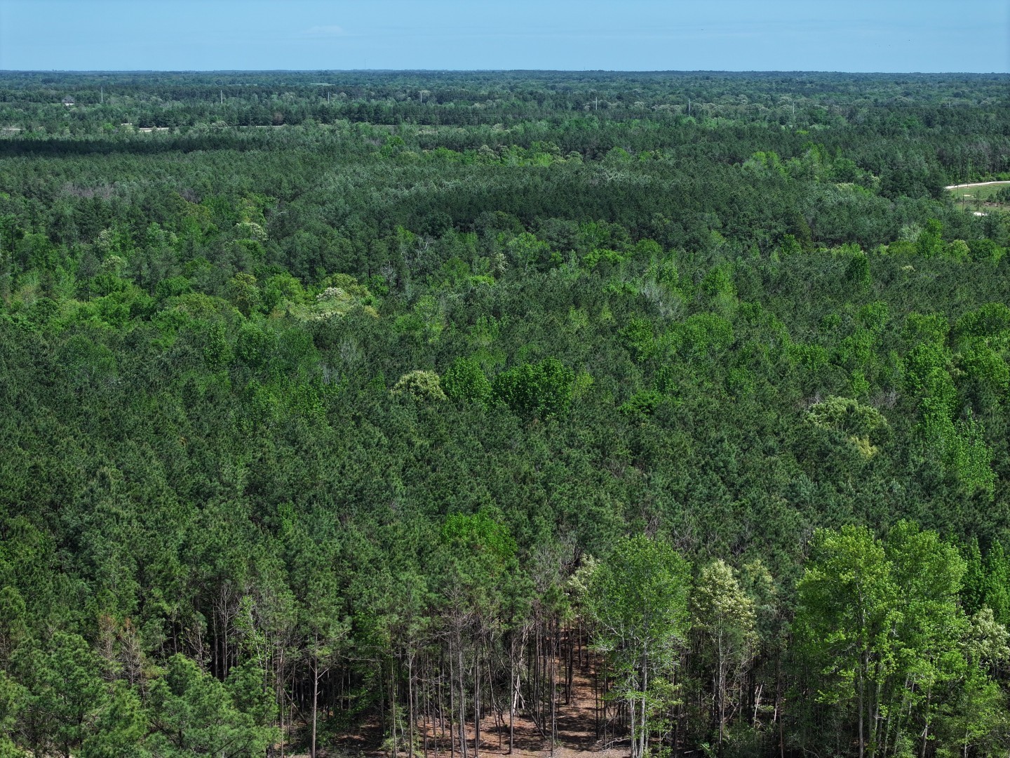 475 Cherokee Trail Lovelady TX 75851