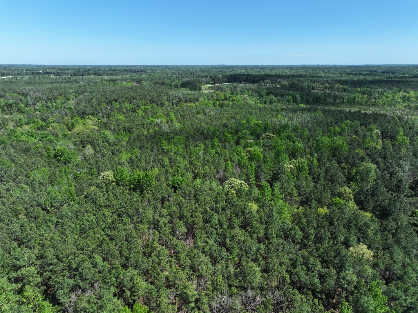 475 Cherokee Trail Lovelady TX 75851