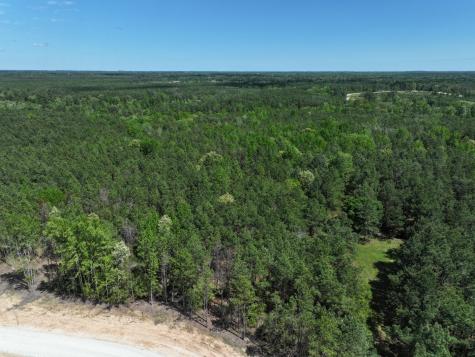 475 Cherokee Trail Lovelady TX 75851