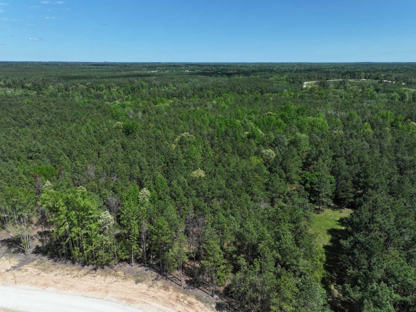 475 Cherokee Trail Lovelady TX 75851