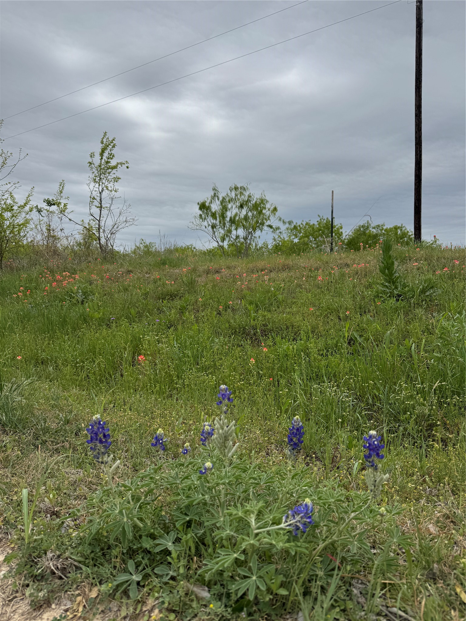 Tbd SE County Road 1280 Streetman TX 75859