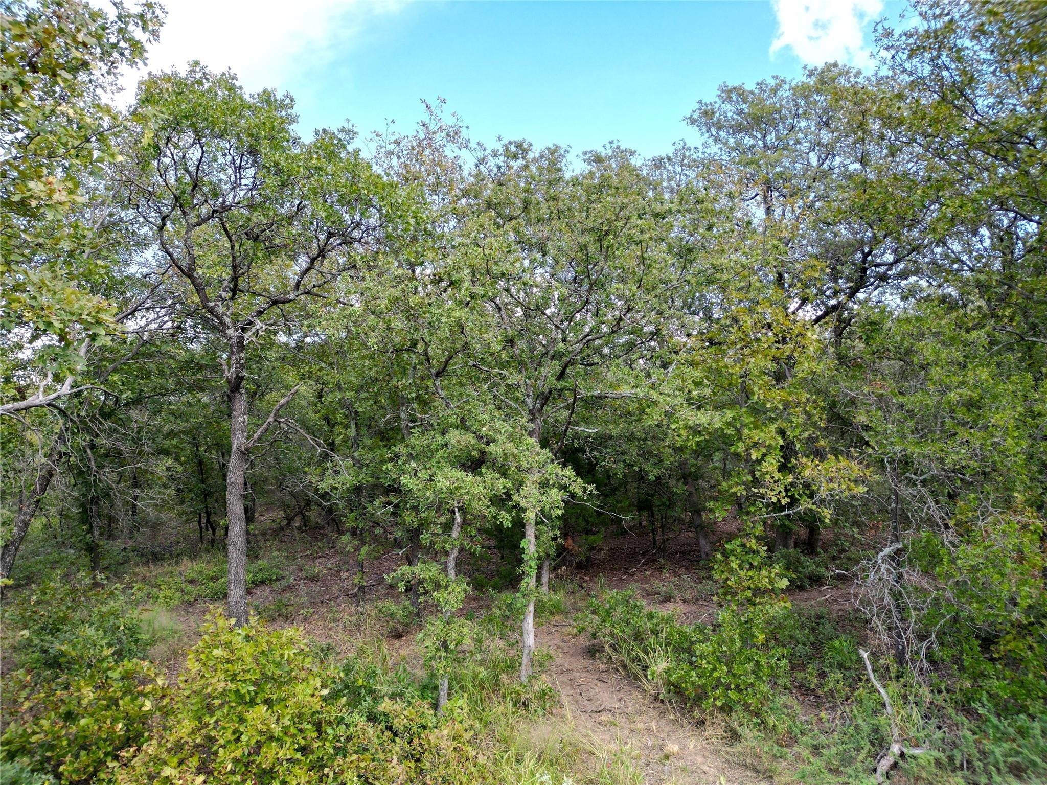 Tbd Lot 7 Muy Grande Road Nocona TX 76255