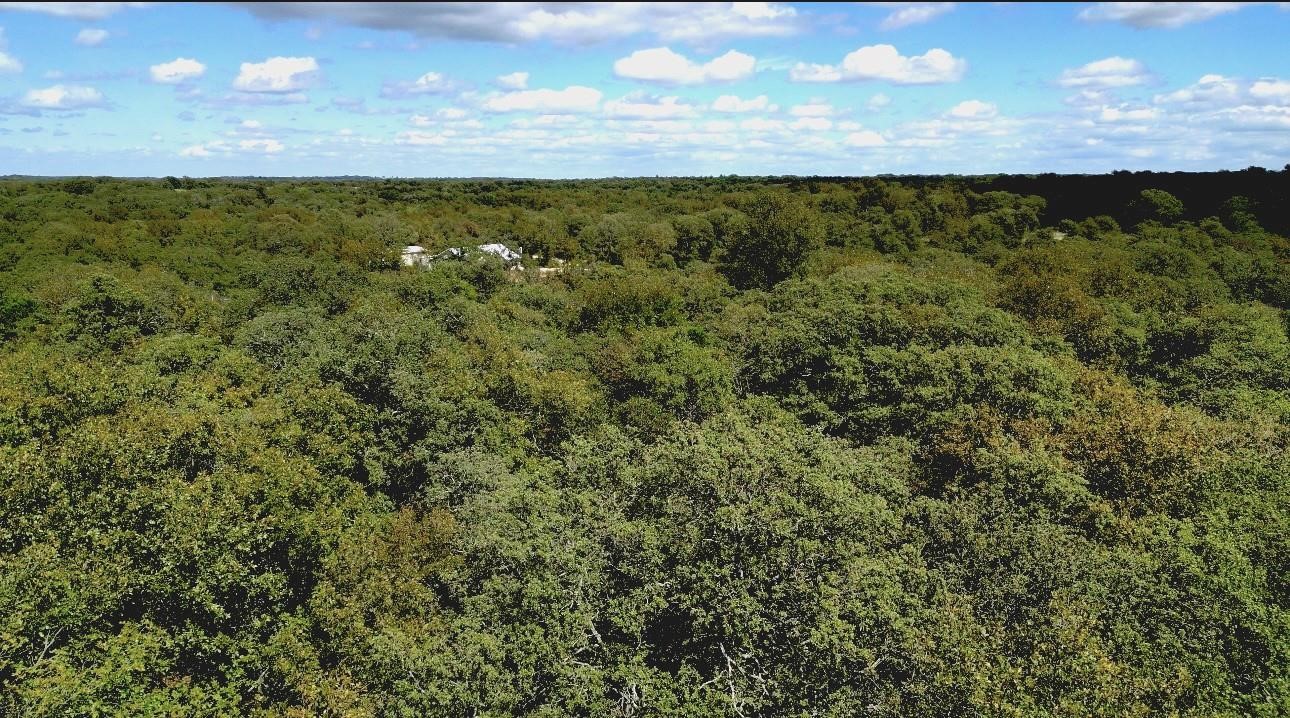Tbd Lot 7 Muy Grande Road Nocona TX 76255