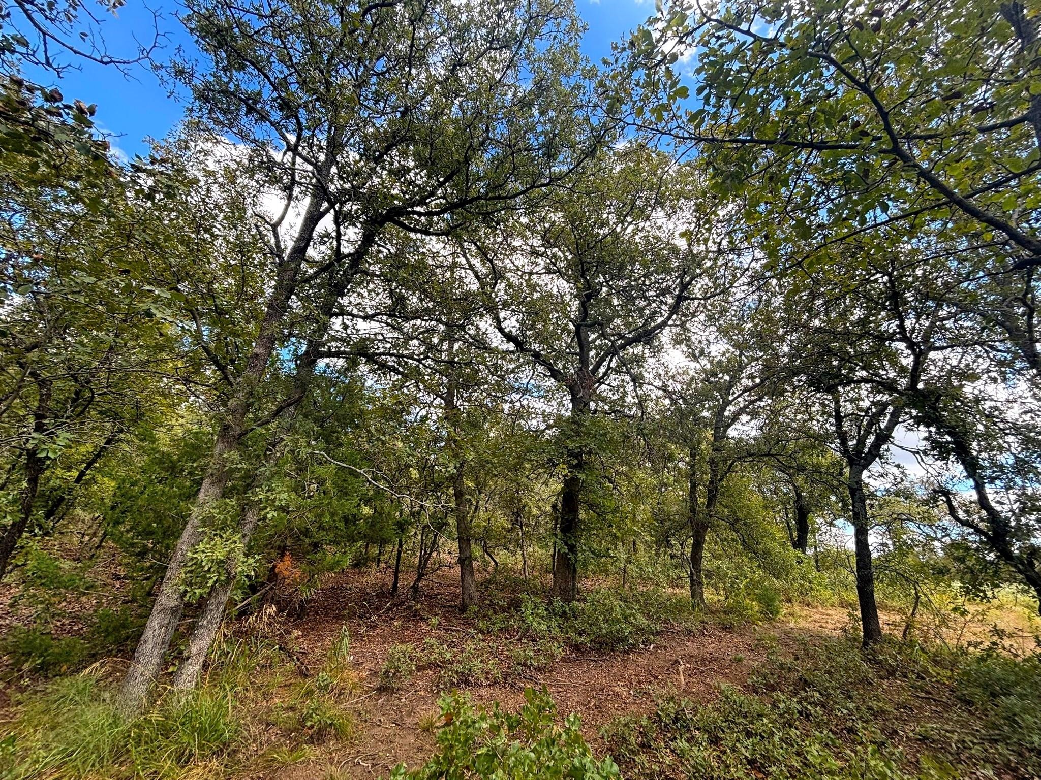 Tbd Lot 7 Muy Grande Road Nocona TX 76255