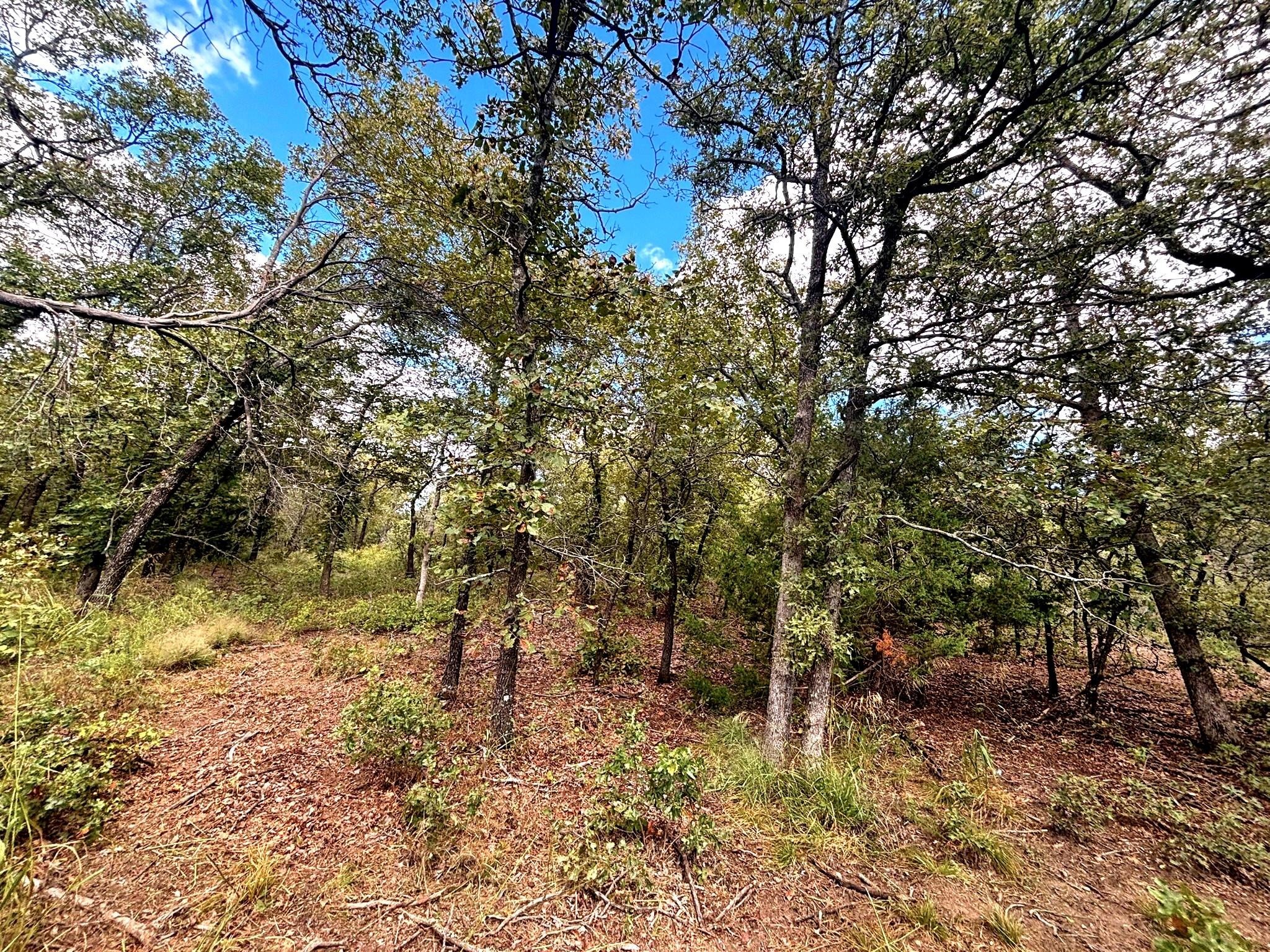 Tbd Lot 7 Muy Grande Road Nocona TX 76255