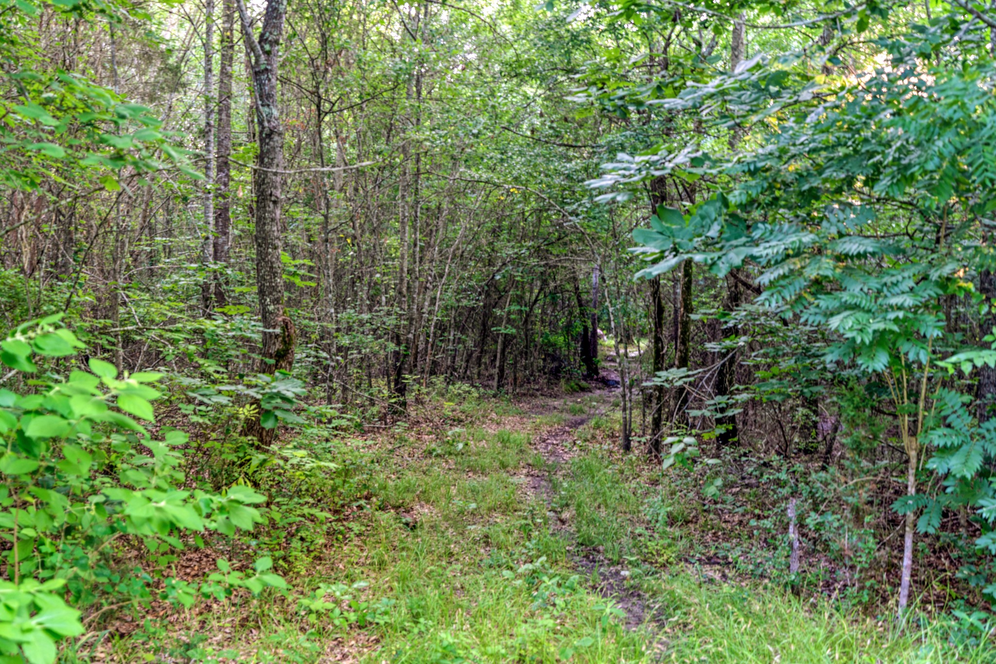 16918 Fr 410 S Road Cunningham TX 75434