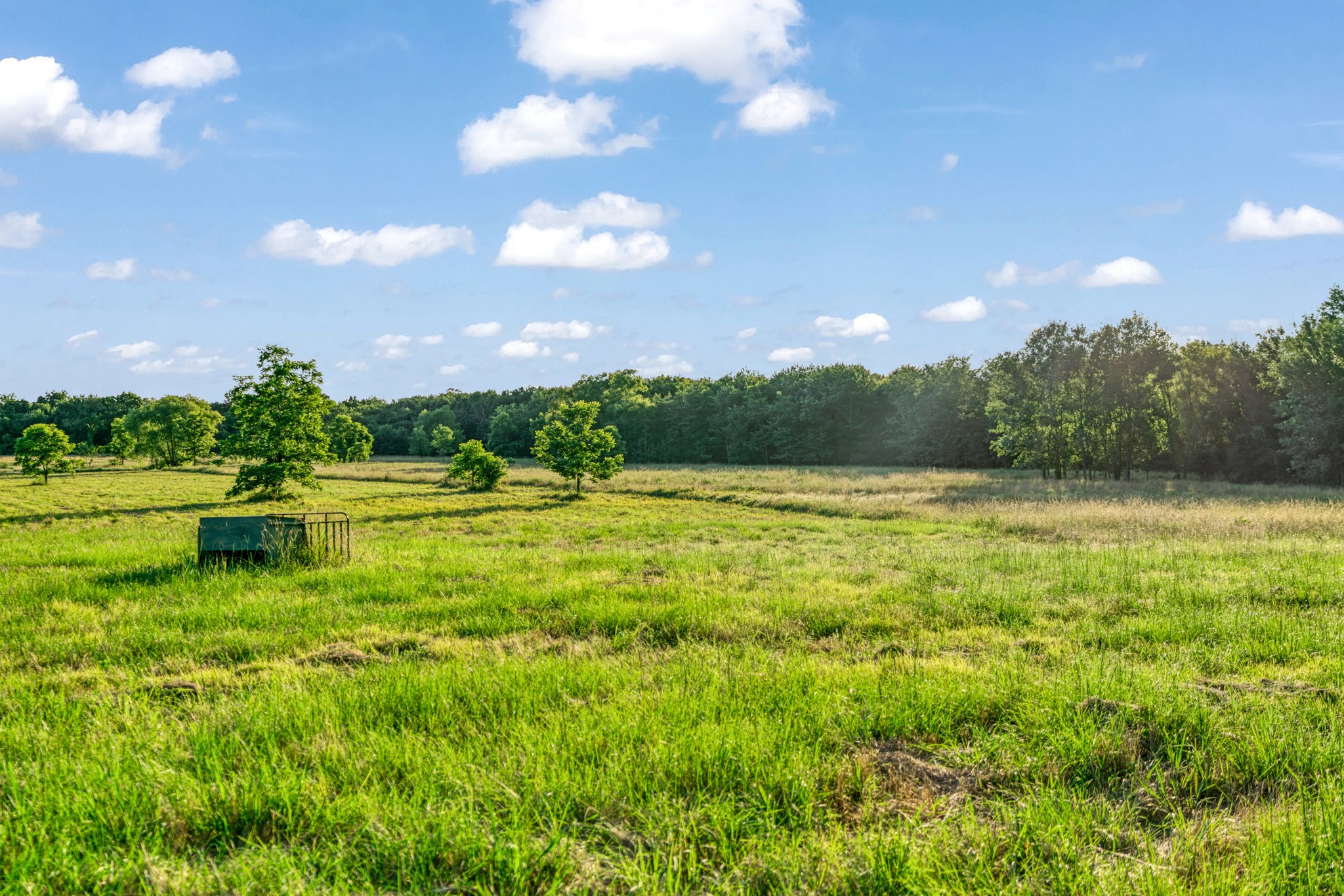 16918 Fr 410 S Road Cunningham TX 75434