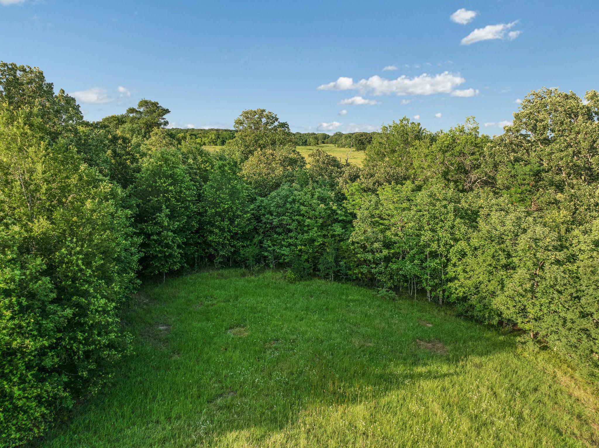 16918 Fr 410 S Road Cunningham TX 75434