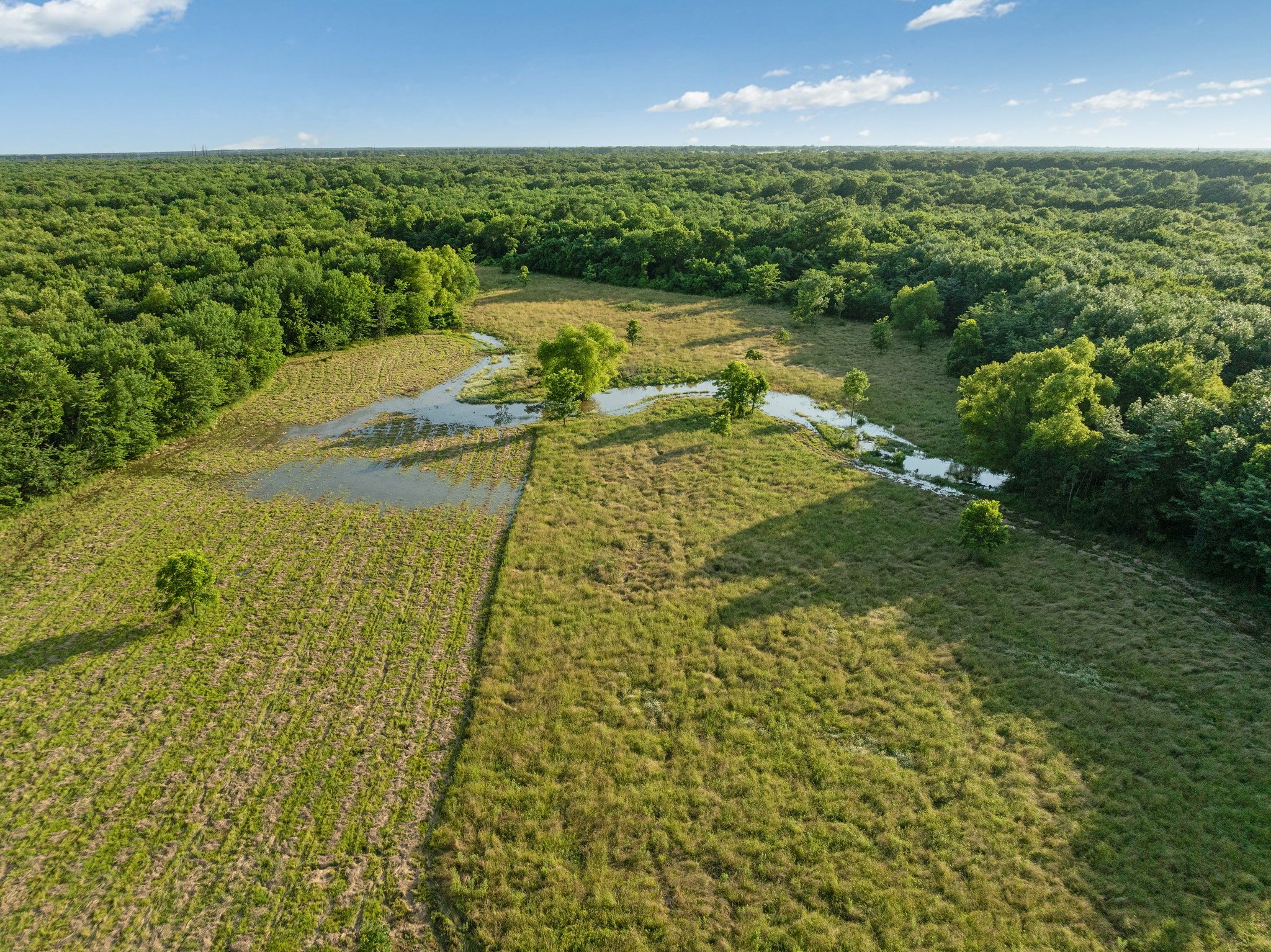 16918 Fr 410 S Road Cunningham TX 75434