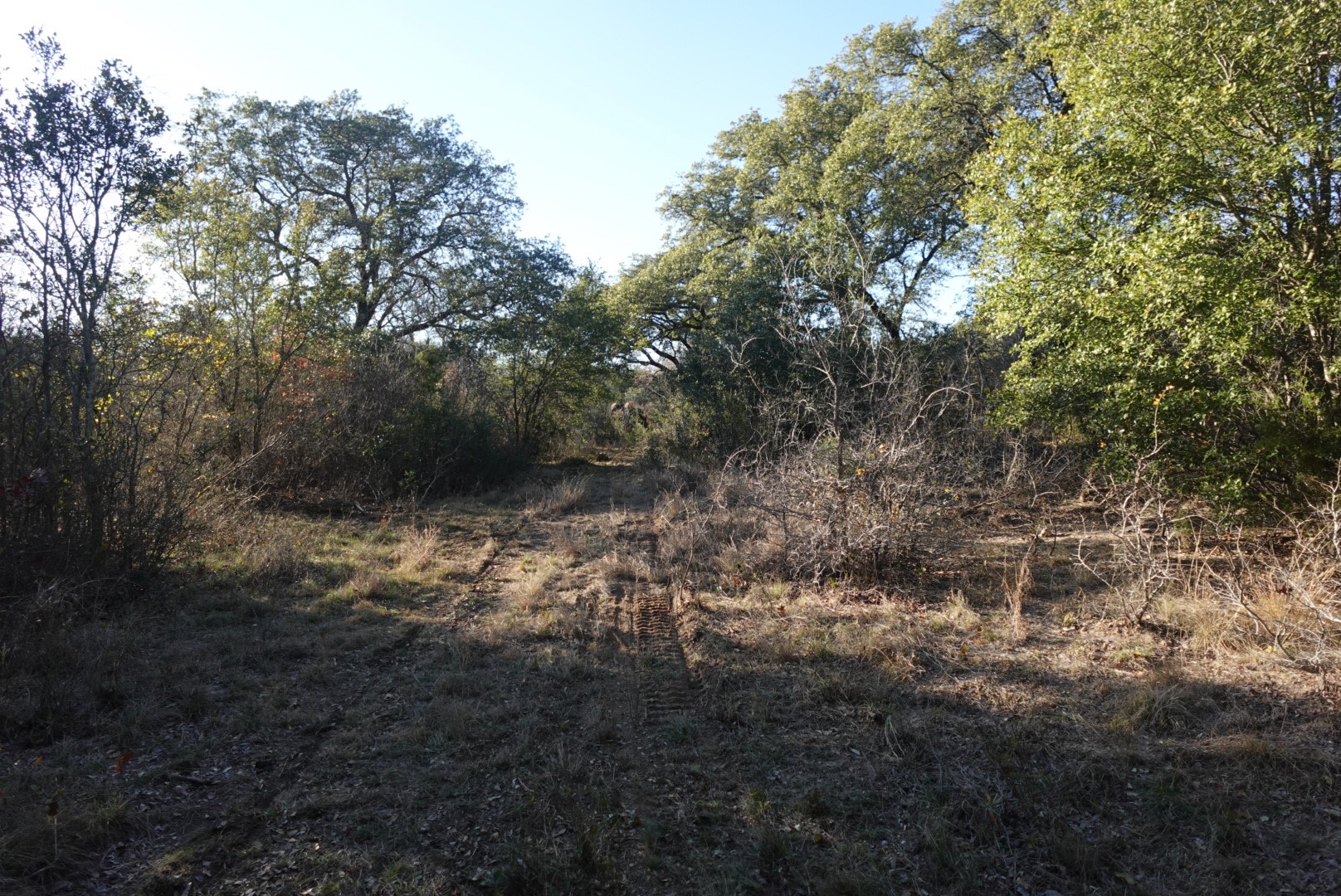 601 County Road 359 Dublin TX 76446