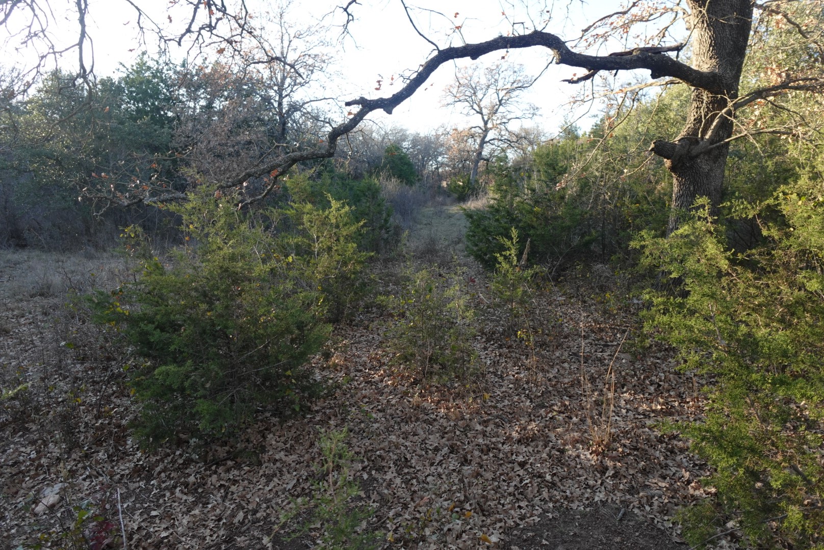 601 County Road 359 Dublin TX 76446