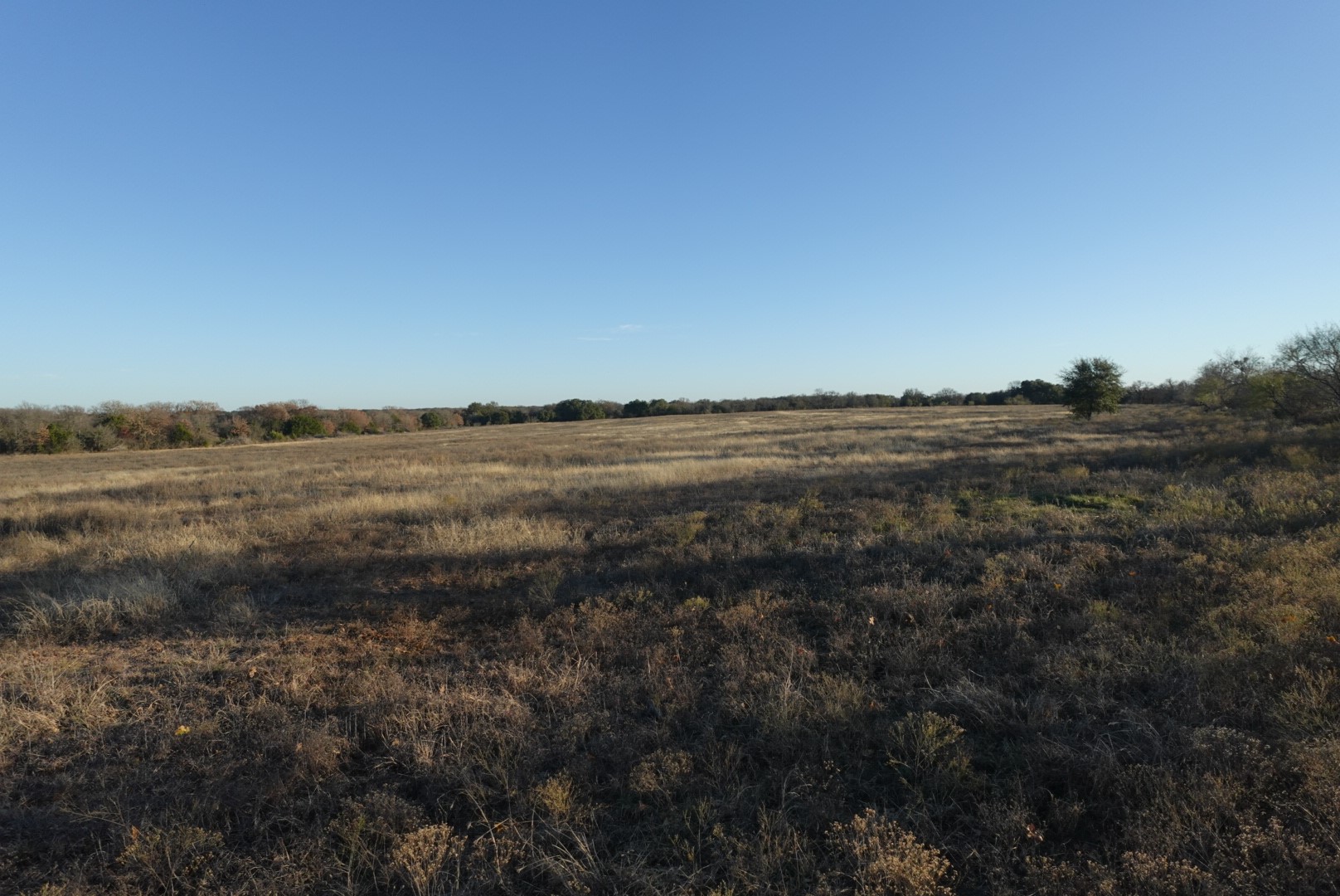 601 County Road 359 Dublin TX 76446