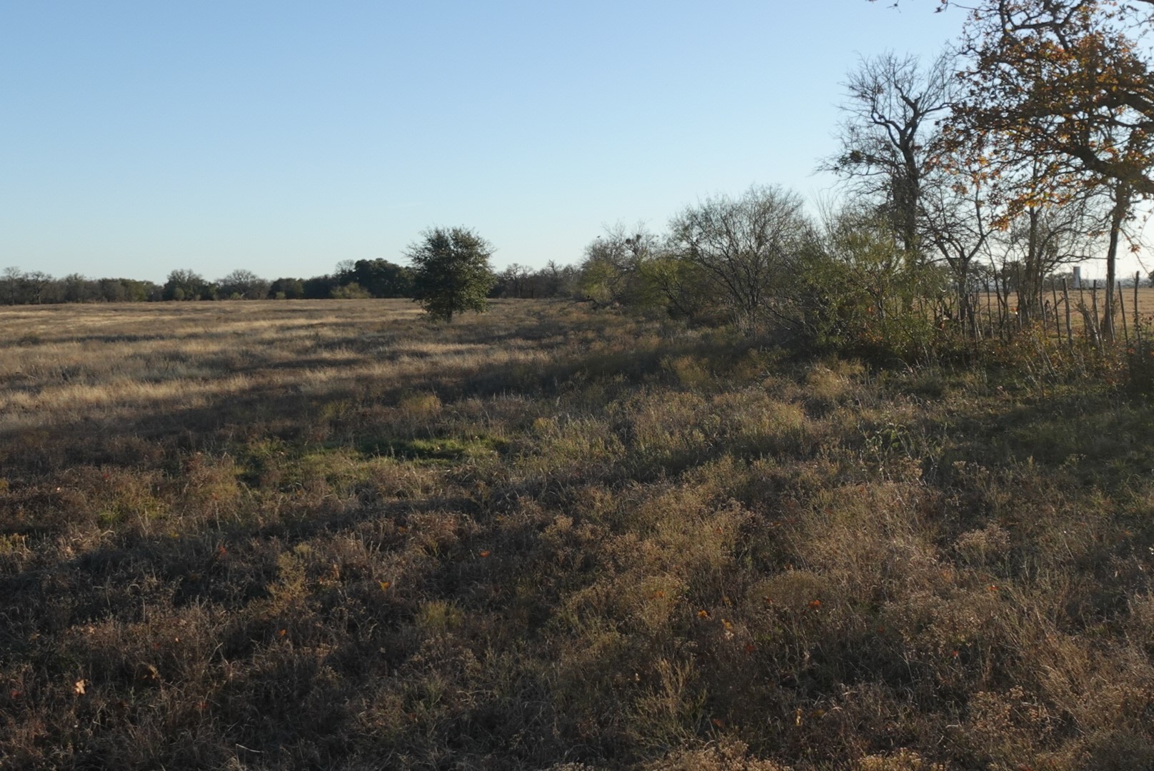601 County Road 359 Dublin TX 76446