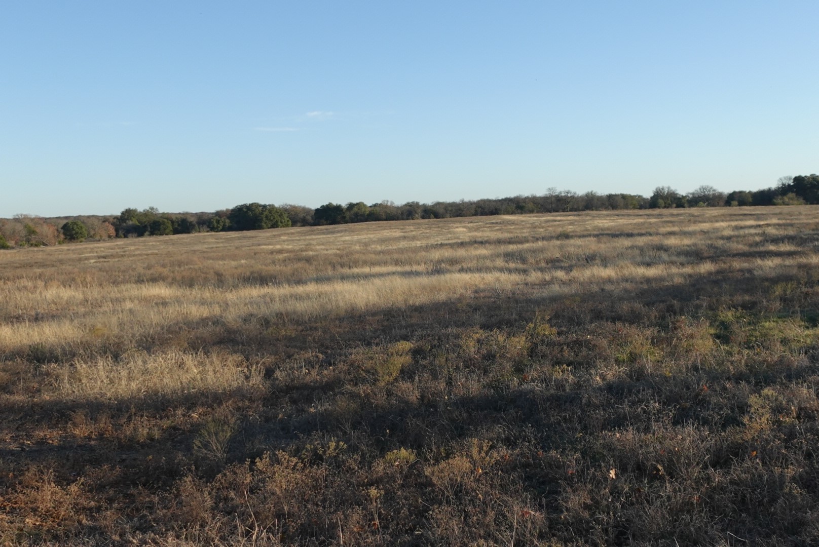 601 County Road 359 Dublin TX 76446