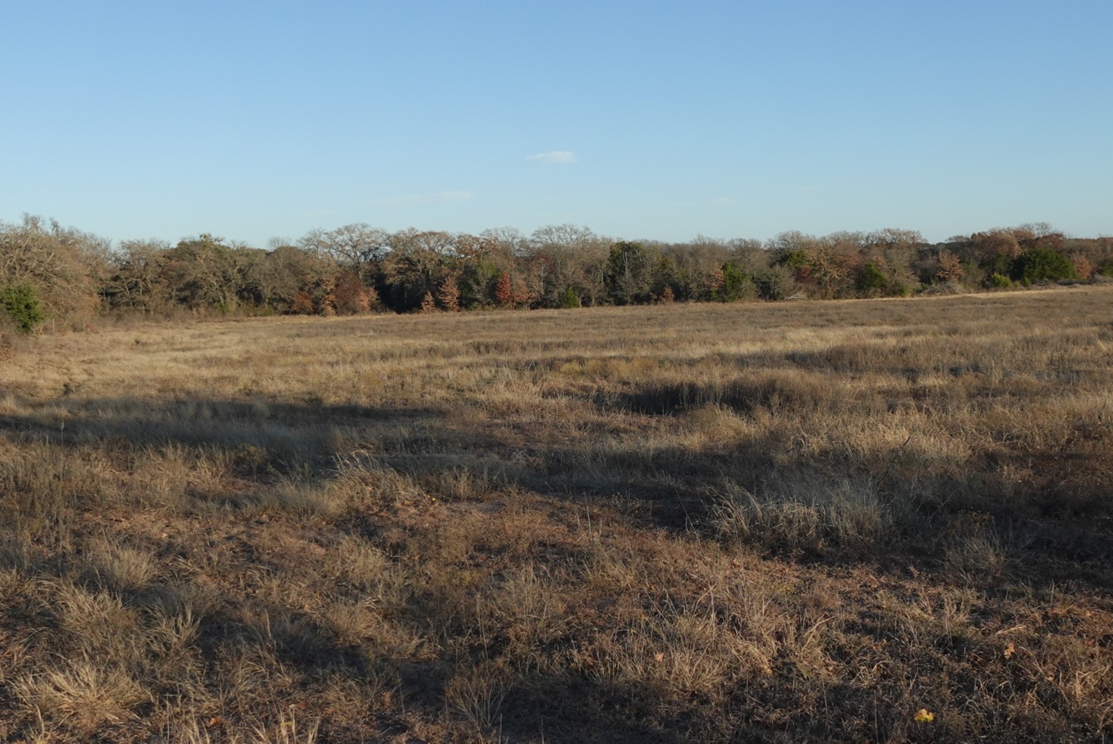 601 County Road 359 Dublin TX 76446