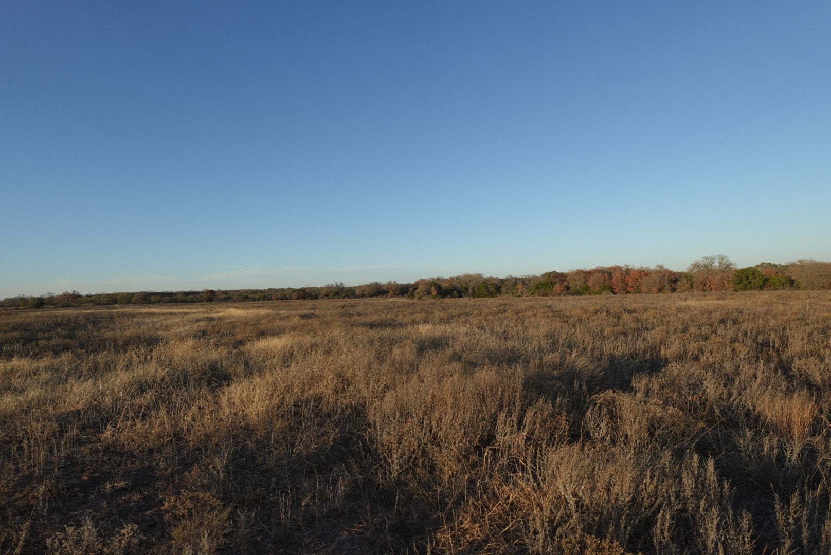 601 County Road 359 Dublin TX 76446