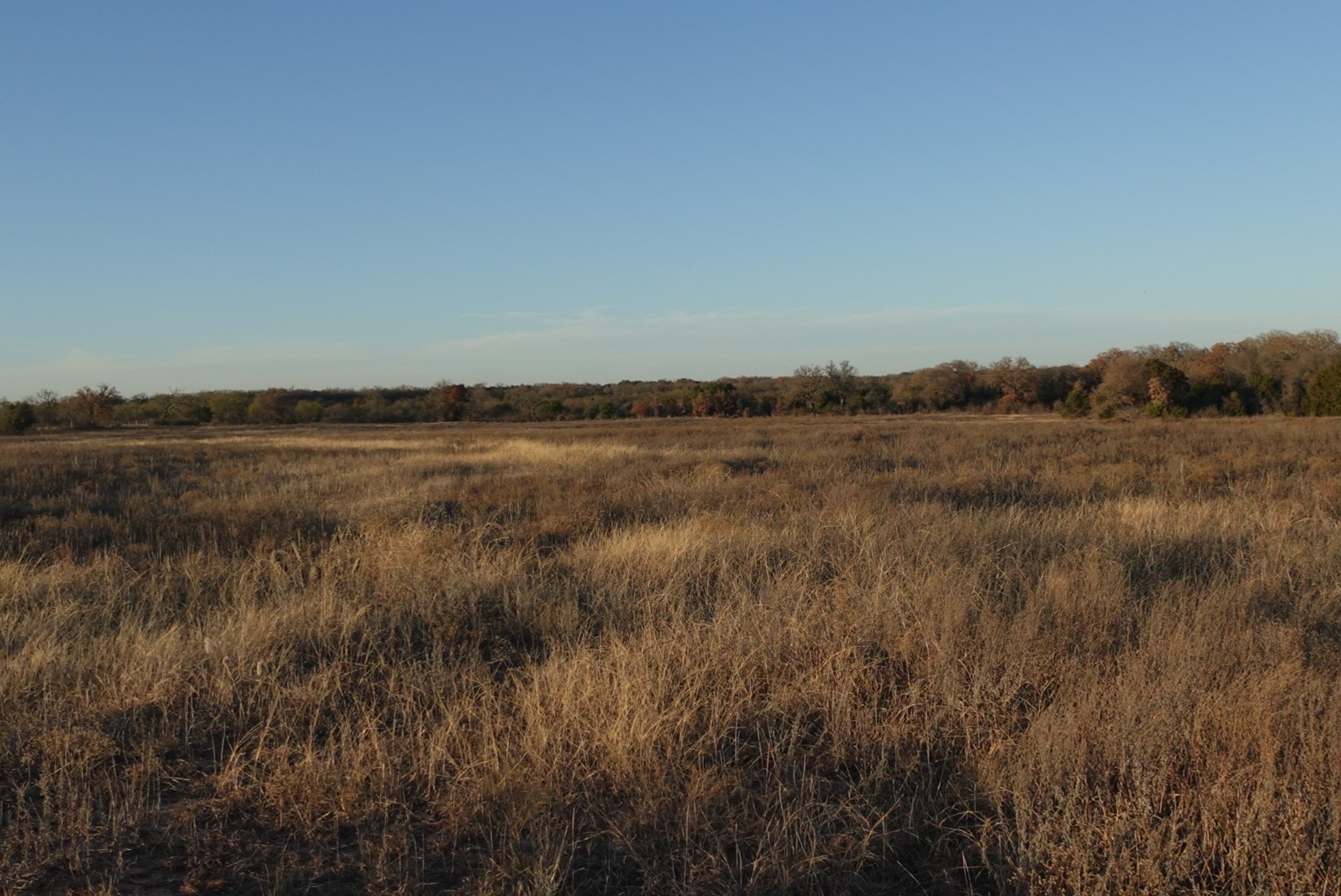 601 County Road 359 Dublin TX 76446