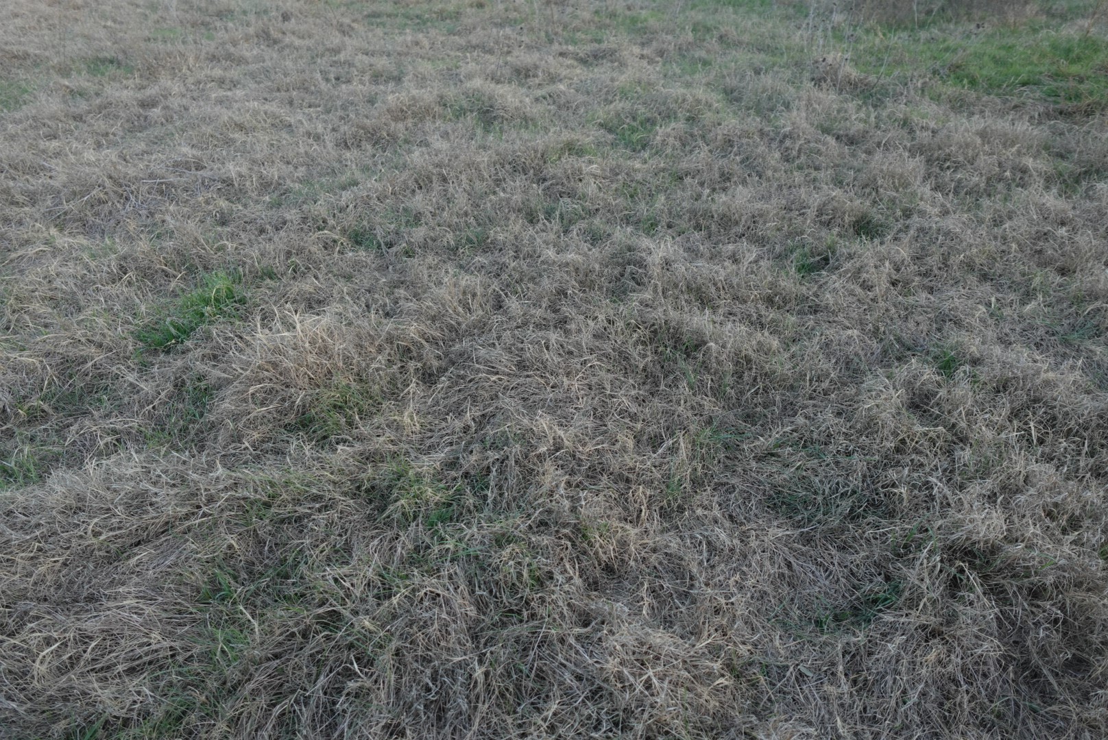 601 County Road 359 Dublin TX 76446