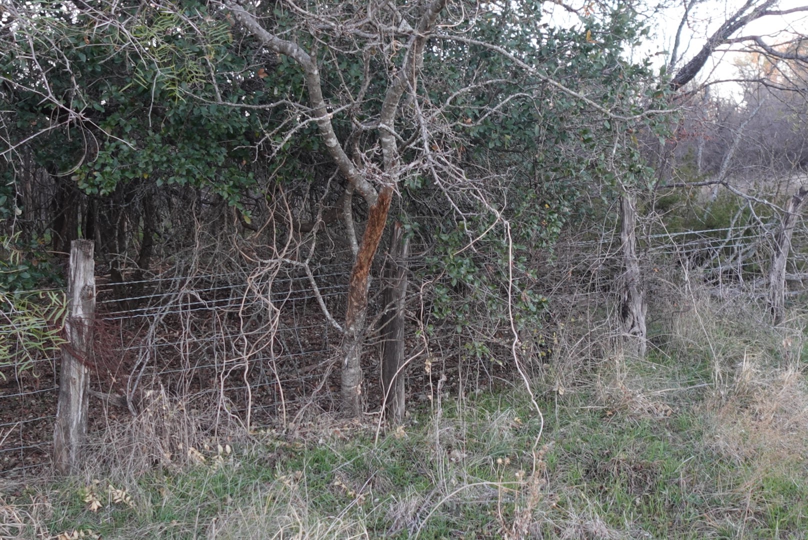 601 County Road 359 Dublin TX 76446