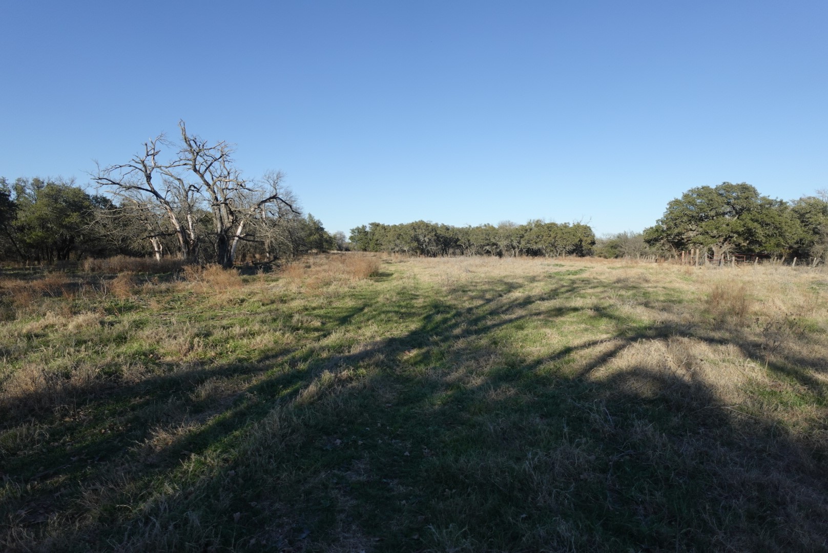 601 County Road 359 Dublin TX 76446