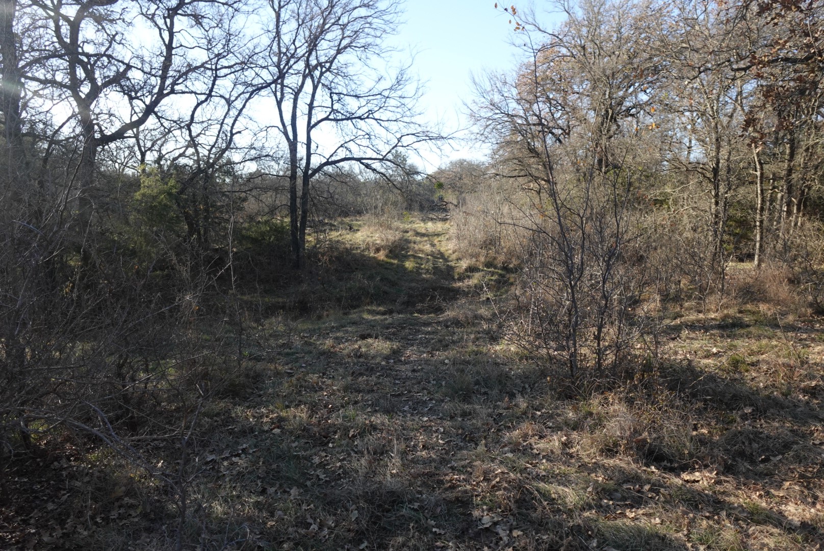 601 County Road 359 Dublin TX 76446