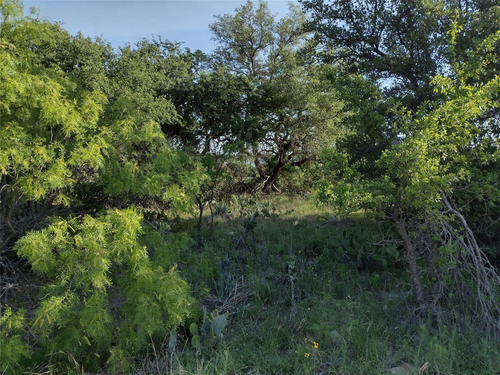 Lots 53-54 Janda Lane Brownwood TX 76801