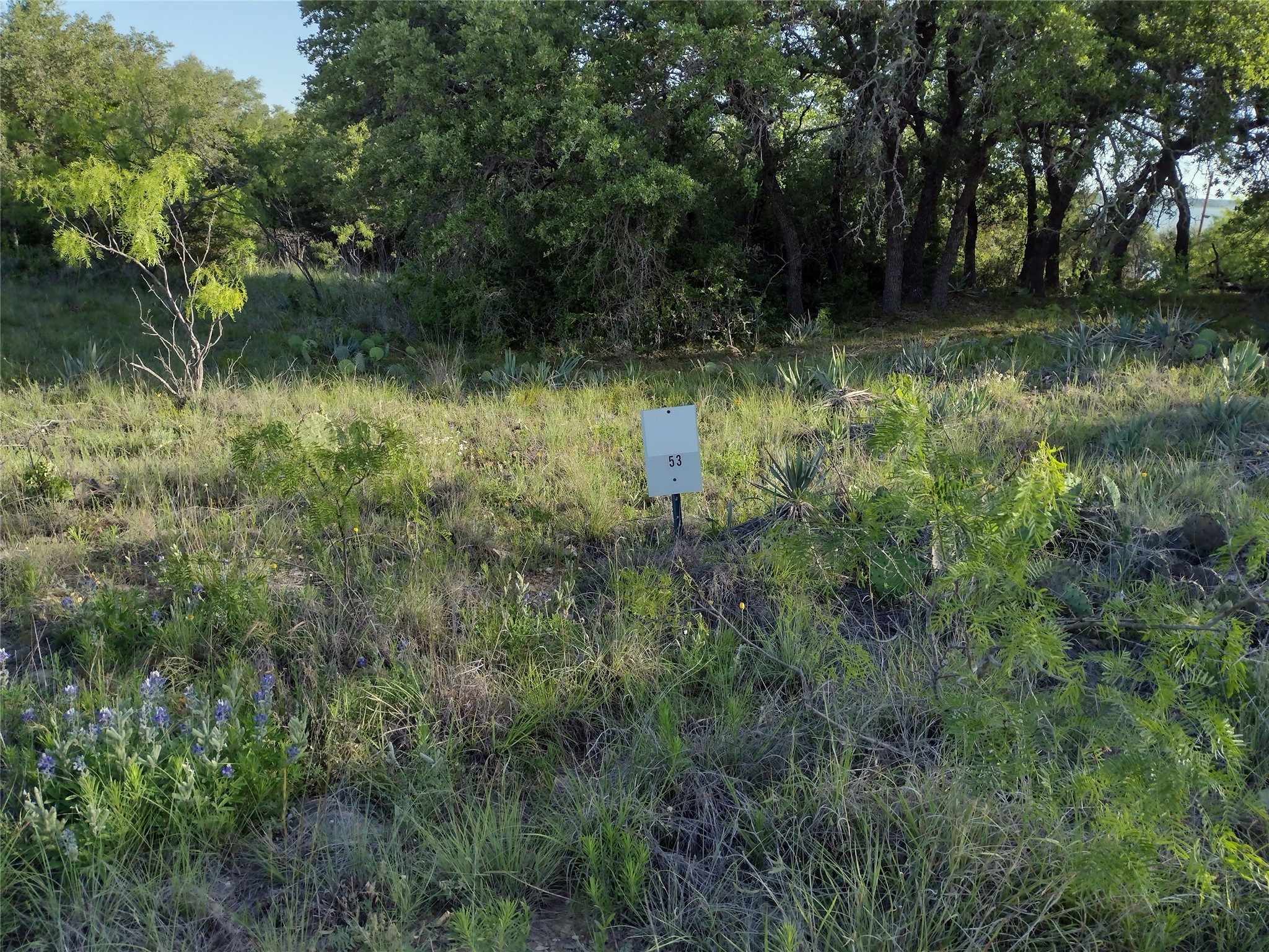 Lots 53-54 Janda Lane Brownwood TX 76801