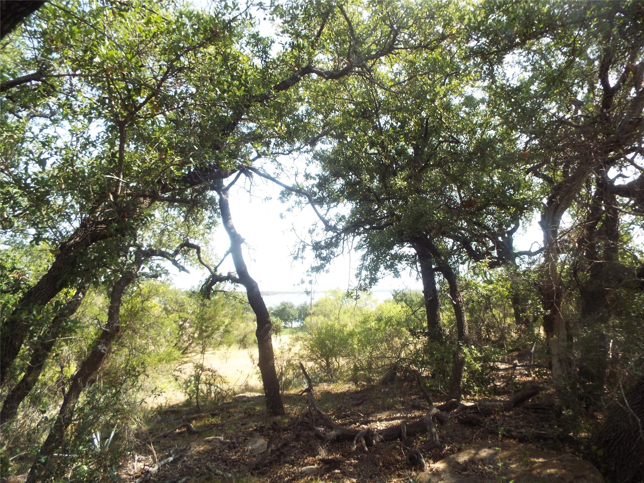 Lots 53-54 Janda Lane Brownwood TX 76801