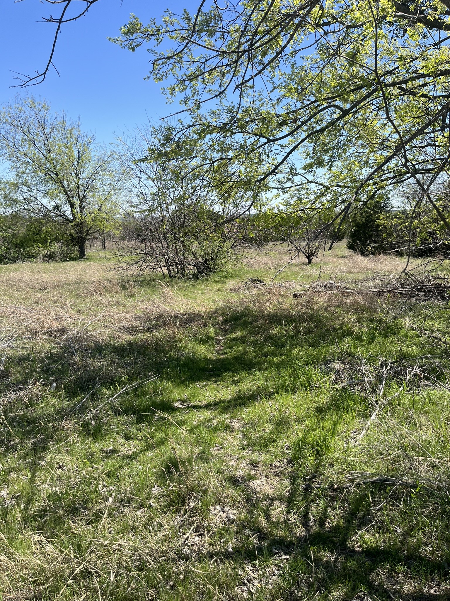 100 E Shangri La Drive Azle TX 76020