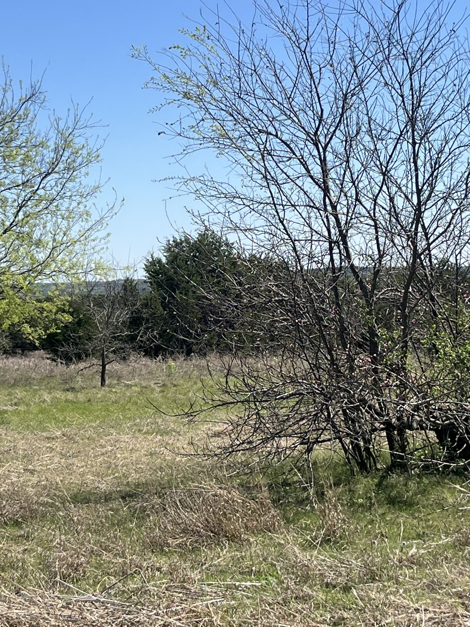 100 E Shangri La Drive Azle TX 76020