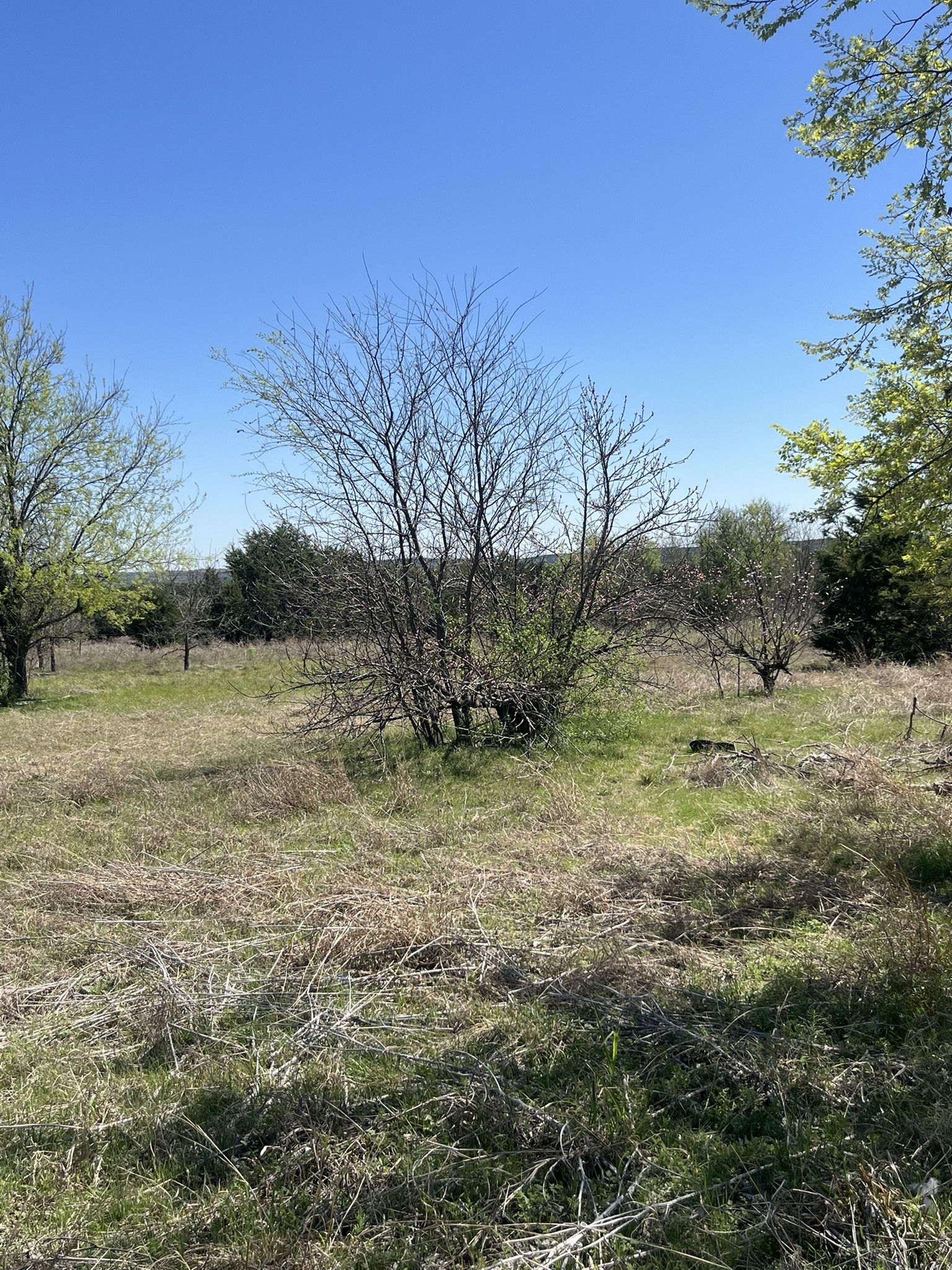 100 E Shangri La Drive Azle TX 76020