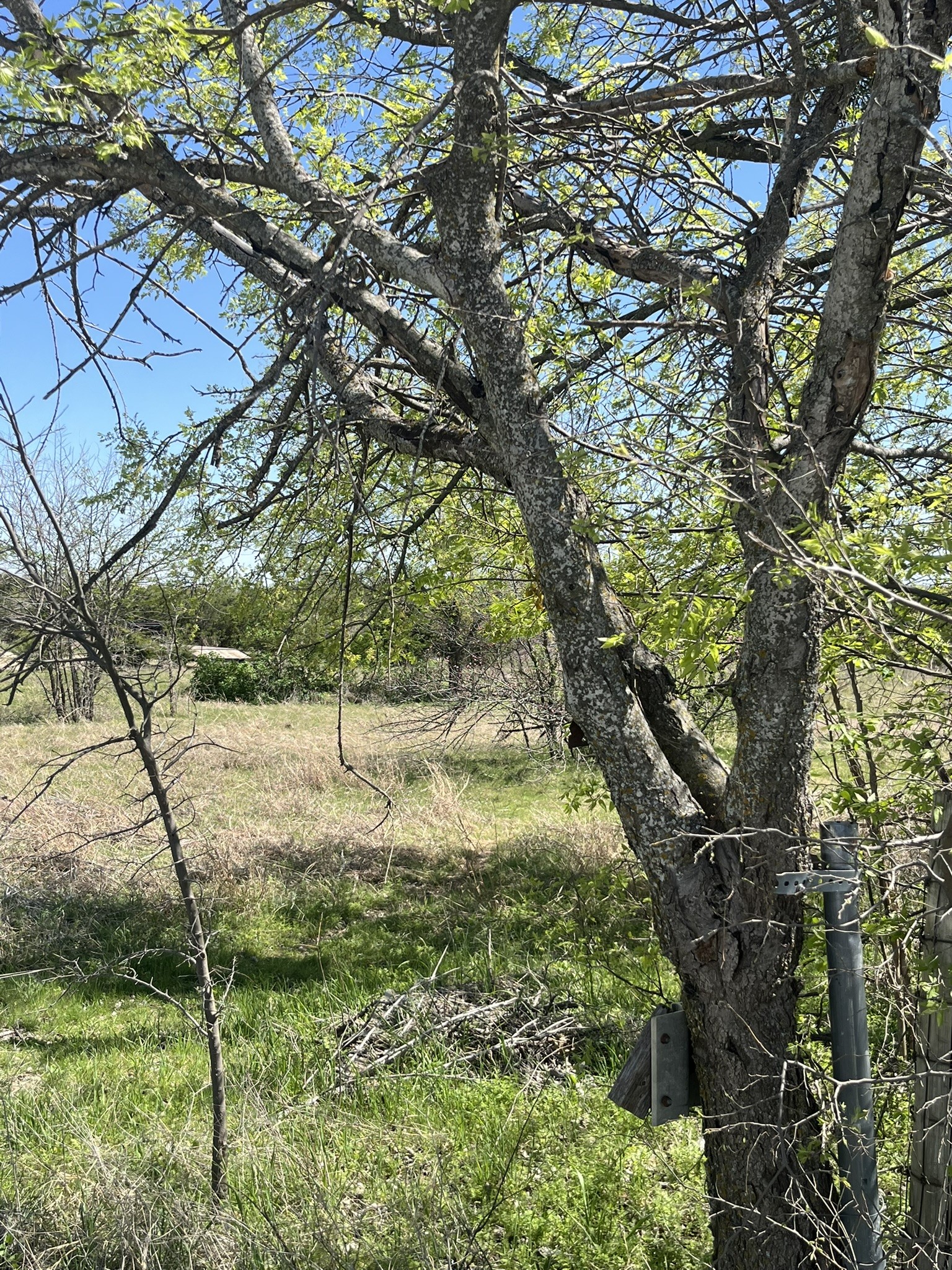 100 E Shangri La Drive Azle TX 76020