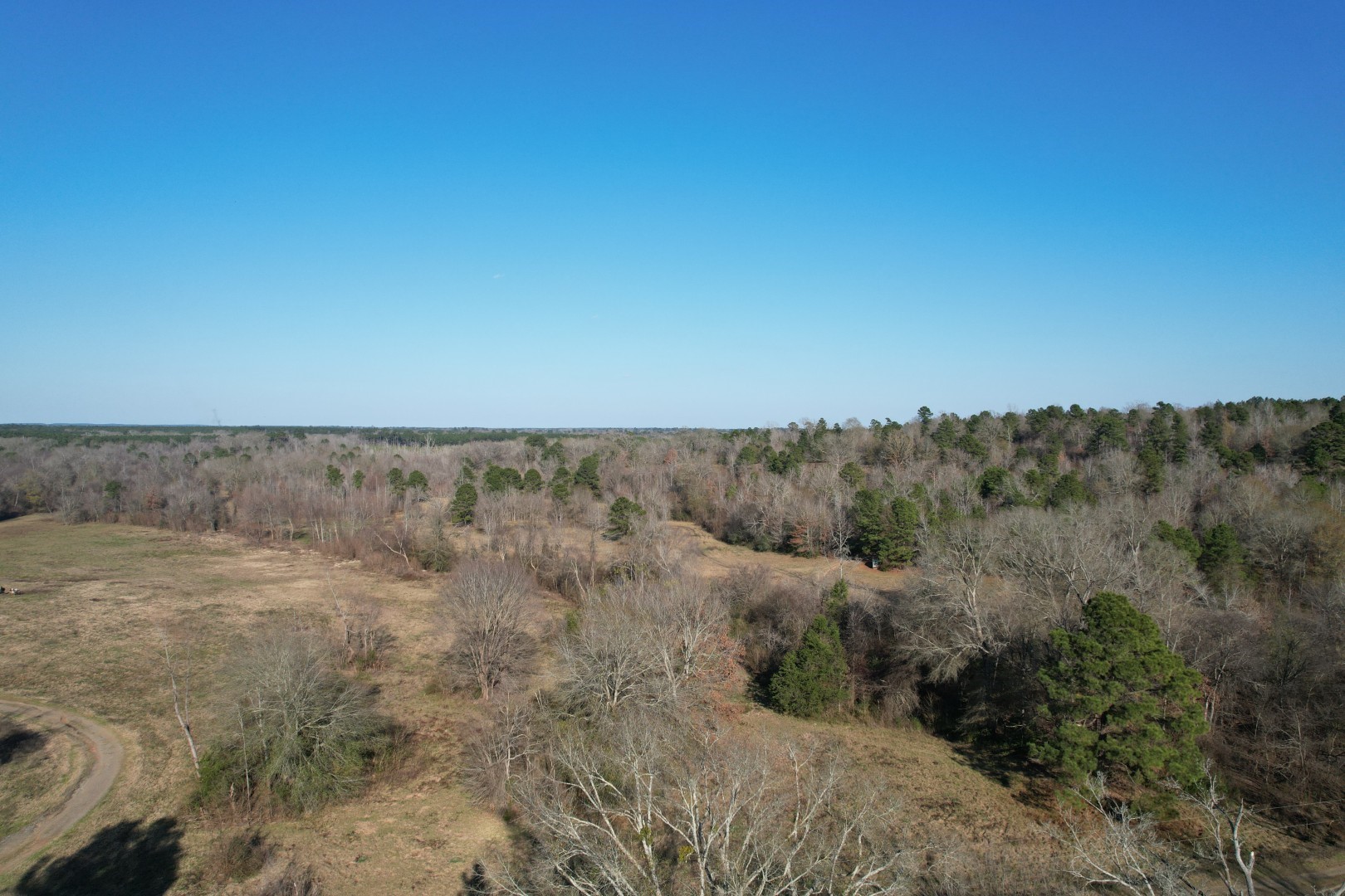 Tbd Reeves Road Garrison TX 75945