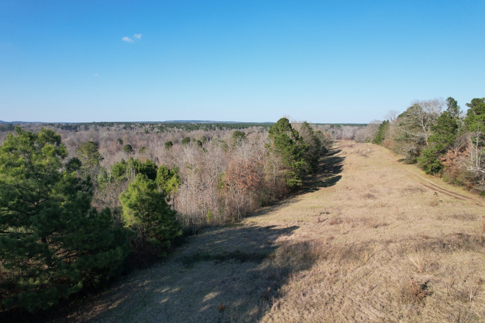 Tbd Reeves Road Garrison TX 75945