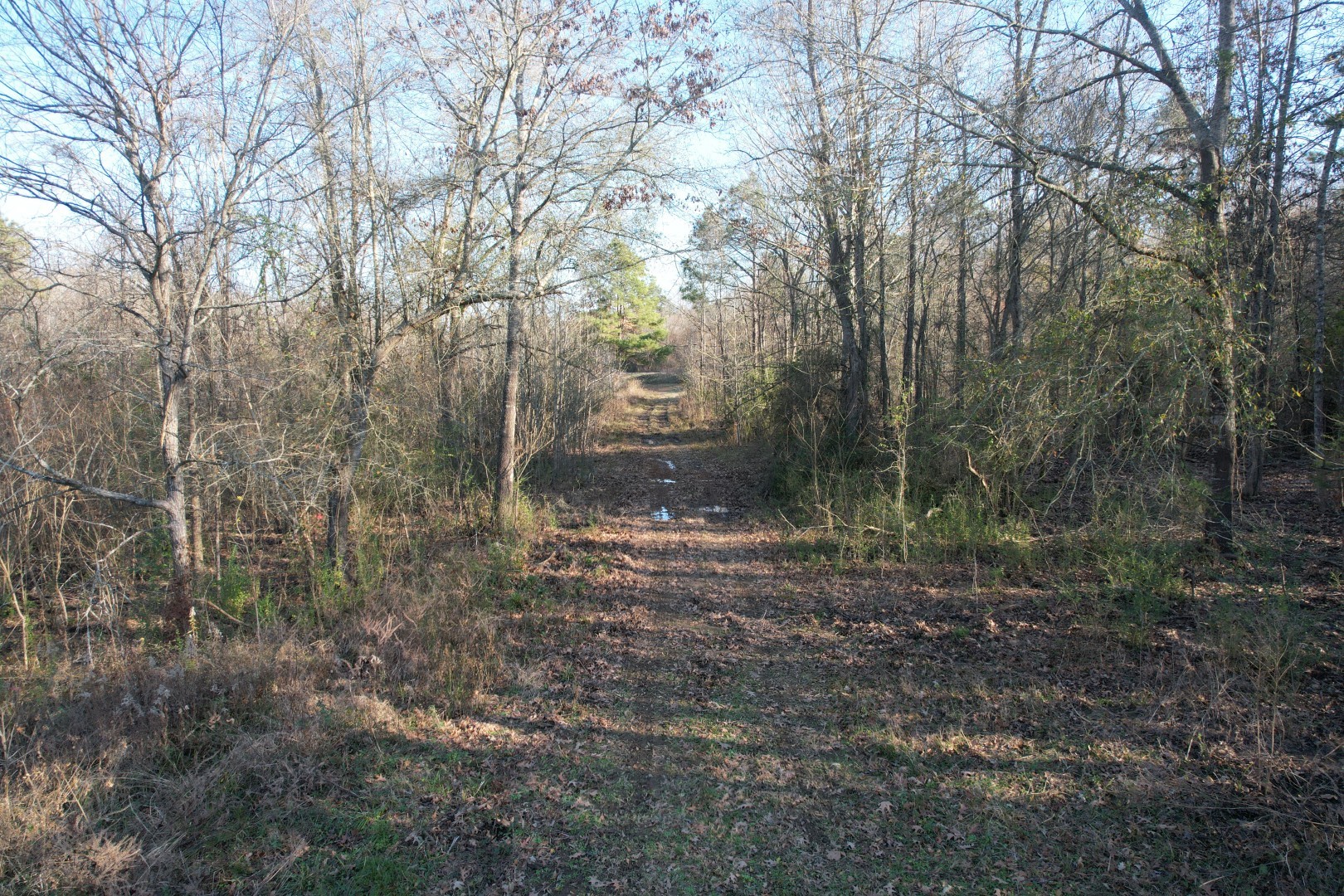 Tbd Reeves Road Garrison TX 75945