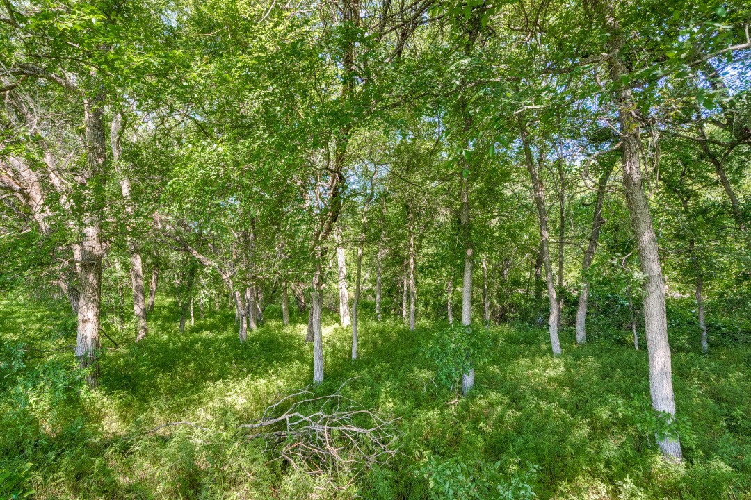 Tbd Brockdale Park Road Lucas TX 75002