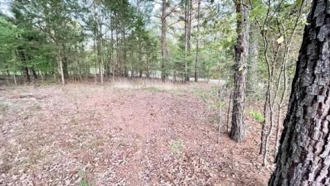 Lot 149 Navasota Mount Vernon TX 75457