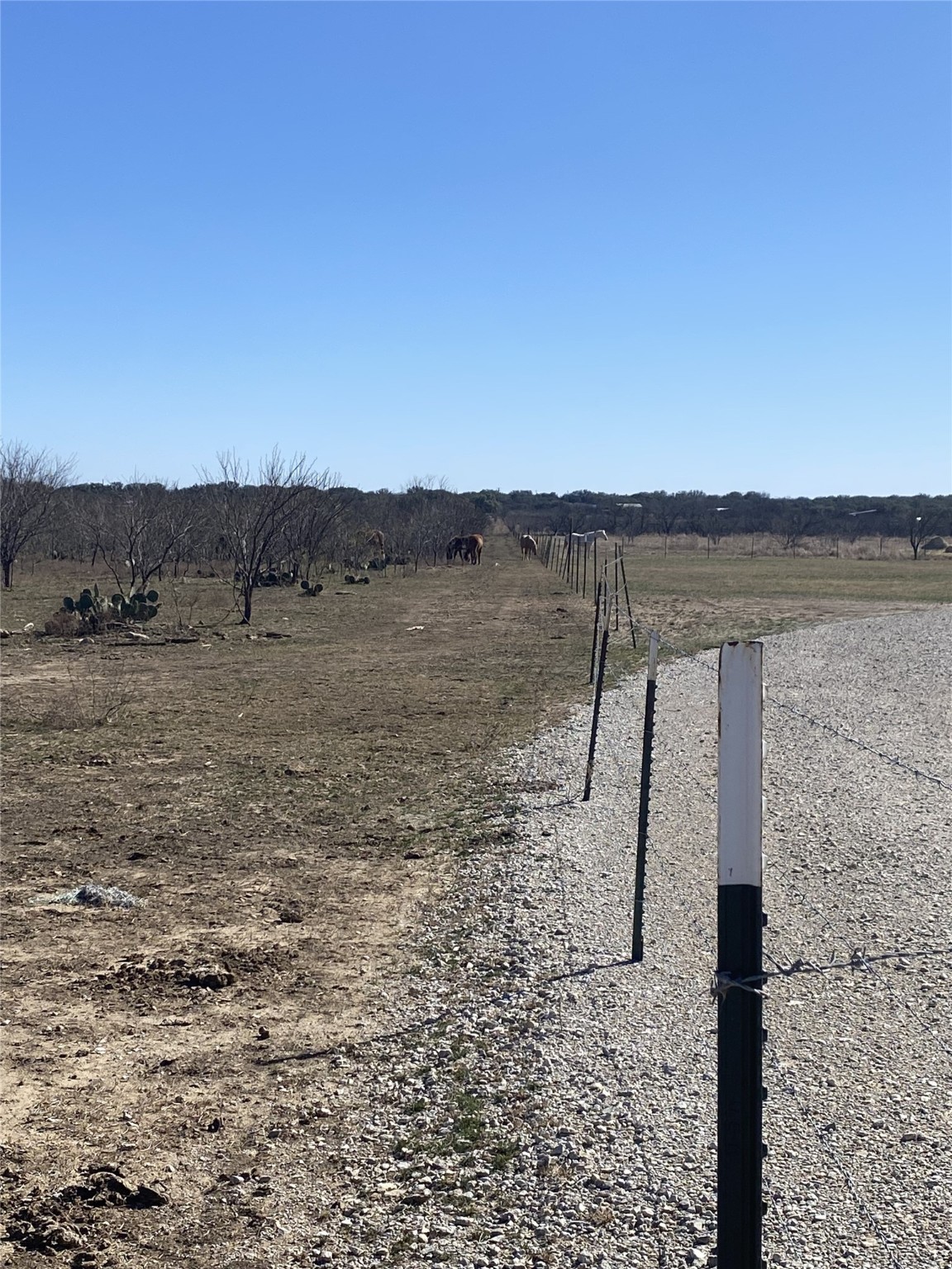 15605 County Road 211 Brookesmith TX 76827