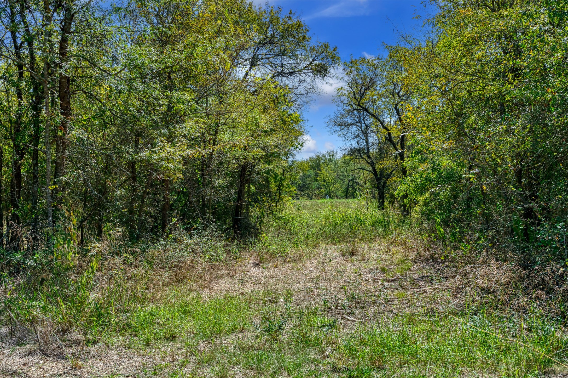 4184 Willow Oak Bend Royse City TX 75189