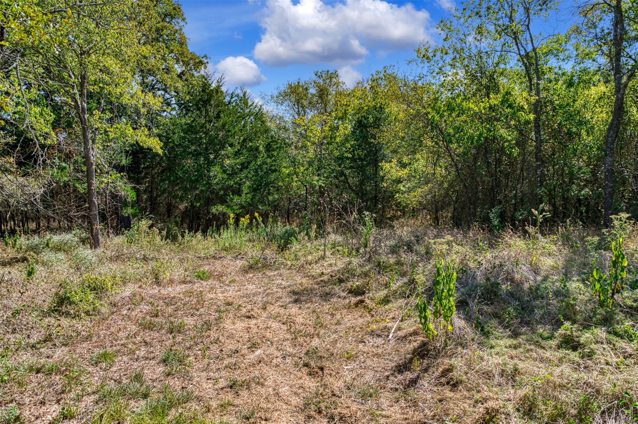 4184 Willow Oak Bend Royse City TX 75189