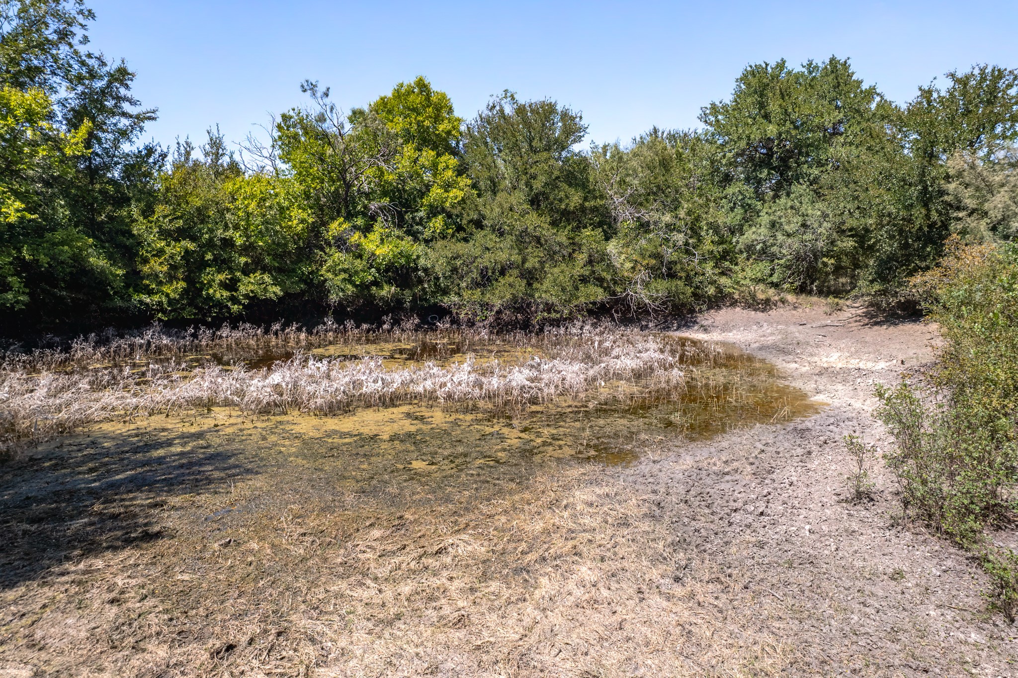 15075 Cr 355 Dublin TX 76446